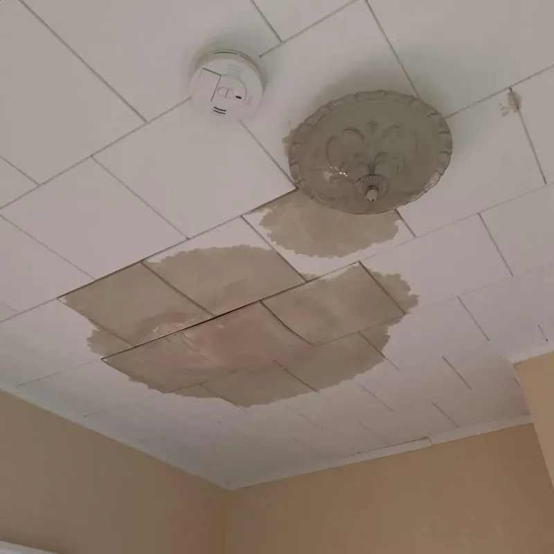 Ceiling Water Damage Repair in Geneseo, NY
