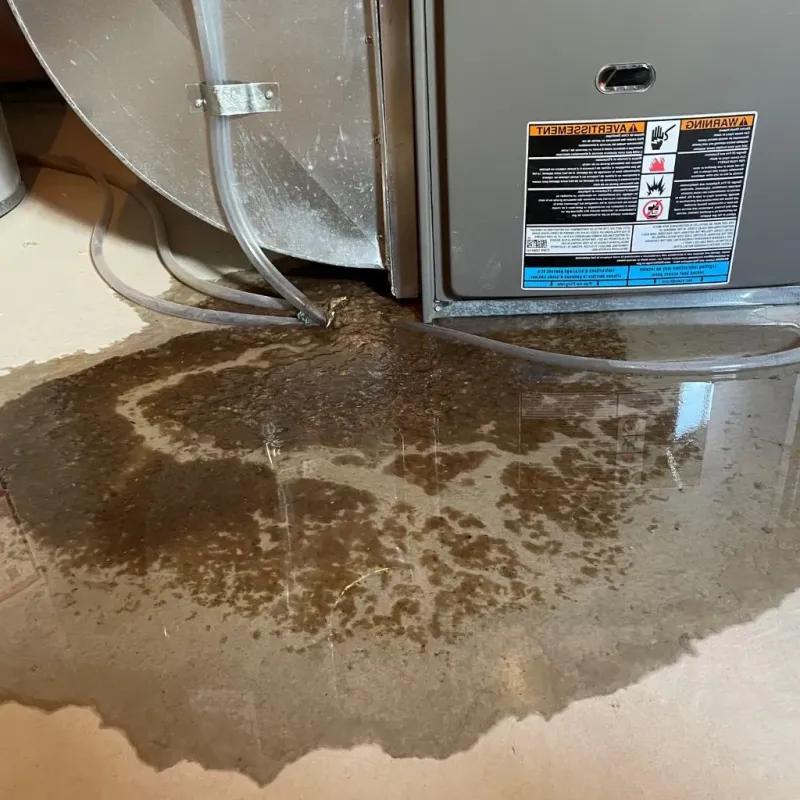 Pipe Burst and Leak Restoration in Geneseo, NY