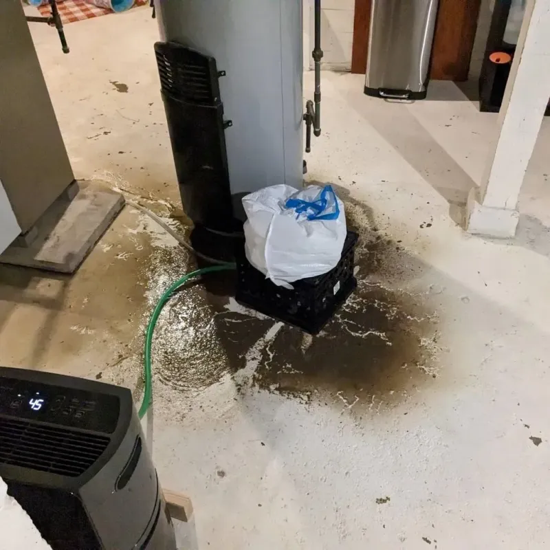 Sewage Backup Cleanup Service in Geneseo, NY